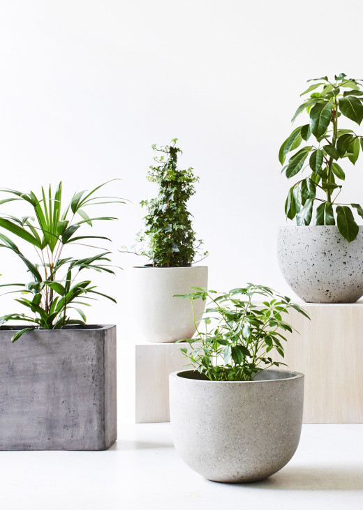 8 Great Plant Pots The Design Files, Designer Garden Pots Melbourne